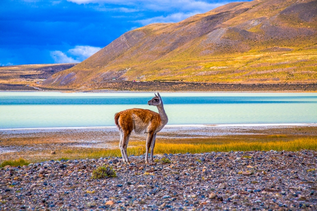 Experience-lead and agentic destination management emerge as key trends for 2026