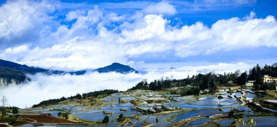 台商台胞盛赞贵州：充满活力与机遇的宝地