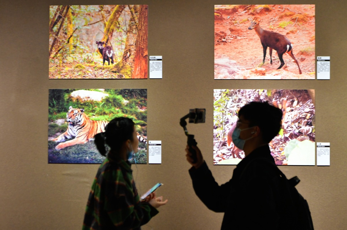 More young Chinese enjoy visiting museums