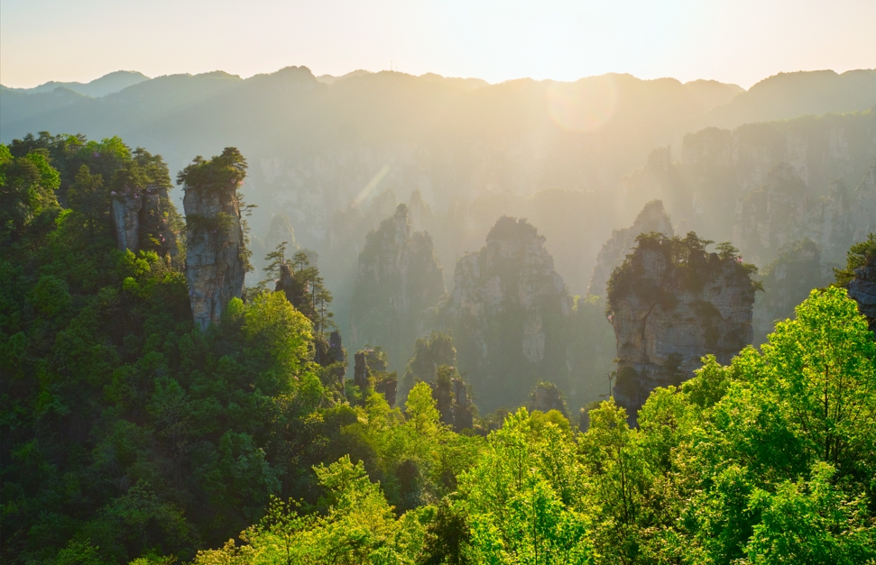 广电湘军赋能，股东福利升级！张旅集团诚邀广大股东免费畅游张家界仙境