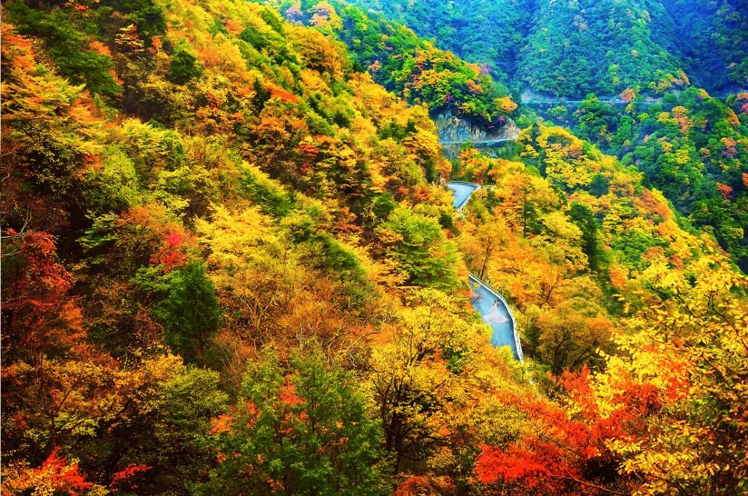 高舜礼：康养发展所应瞩目的核心竞争力