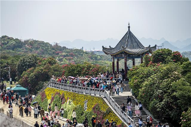 百里杜鹃管理区：旅游市场持续回暖 激发消费新活力