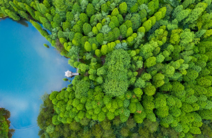 中国旅游研究院组织召开国家重点研发计划项目课题实施方案咨询会暨季度调度会