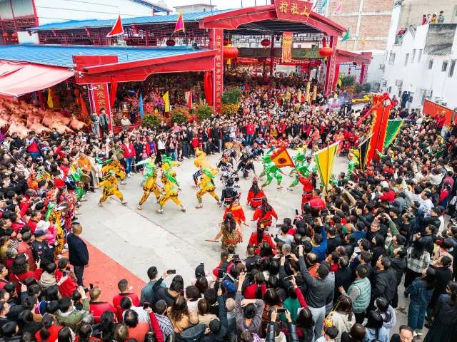 5.01亿人次！6770.02亿元！中国春节文旅市场，就“巳”这么火！