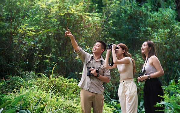 中国旅游研究院发布多项报告