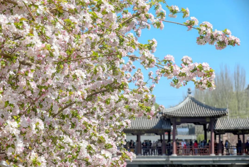 全球旅游城市迎来品牌建设“通用语言”