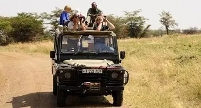 坦桑旅游|总统萨米娅力推旅游业，坦桑尼亚游客量显著增长