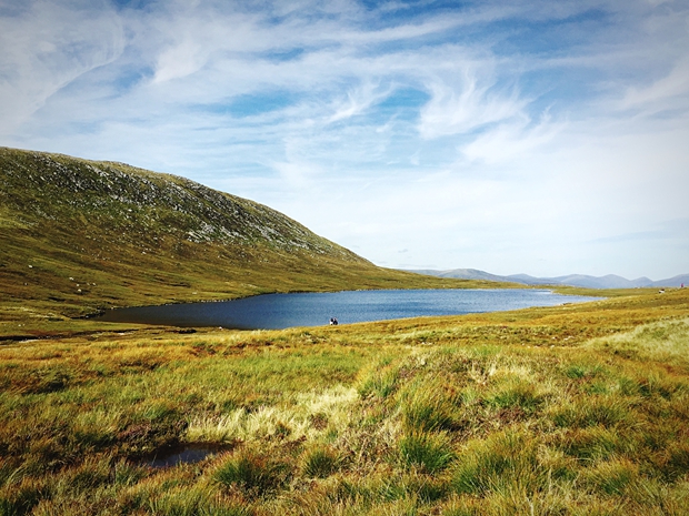 A downturn for Hawaii tourism