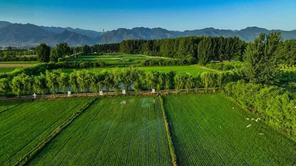 Less than One Month until the UN Tourism Global Conference on Wine Tourism in Armenia