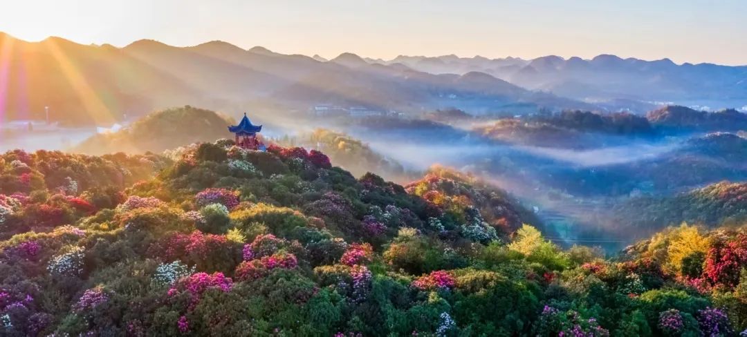 郝霄虹：WTTC：未来十年全球旅游业将持续增长