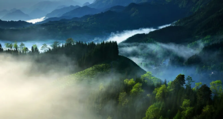 天府文旅：签署多个战略合作框架协议，推动影视多元化发展
