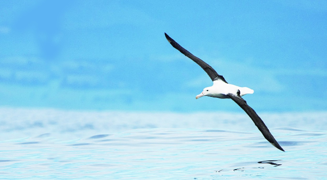 美诺酒店亚太区首个缇沃丽和盛橡双品牌酒店项目正式入驻中国
