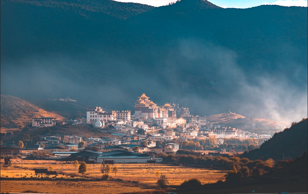 全联旅游业商会会长受邀出席第四届香格里拉论坛