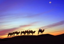 点“沙”成“金” 新疆持续挖掘沙漠旅游发展潜力