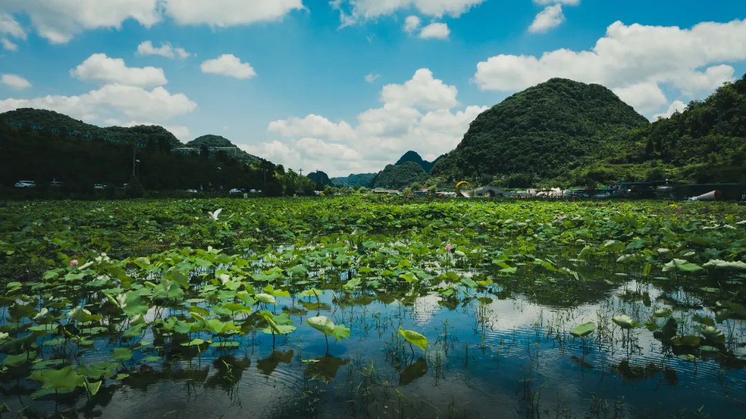 暑期游火热 激发旅游新活力