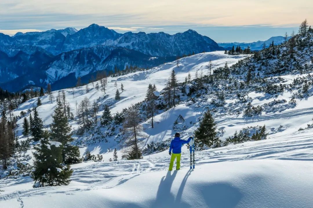 Global greenfield Investment in tourism Reflects Resilience and Shift Toward Sustainability in 2024