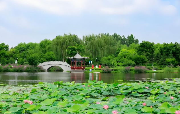 石家庄探寻入境游新路径 打造“千年古韵之城”魅力