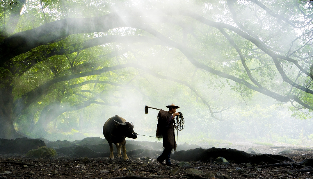 宁夏文旅福州举办推介会 签约30多家文旅企业