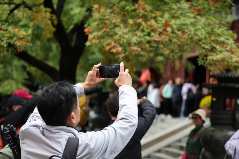 2025国际山地旅游暨户外运动大会接待服务项目中标（成交）公告