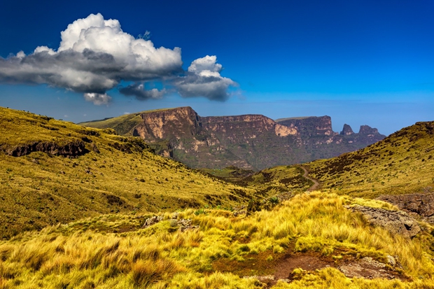 Aman owner Vlad Doronin is an investor in big Miami land deal