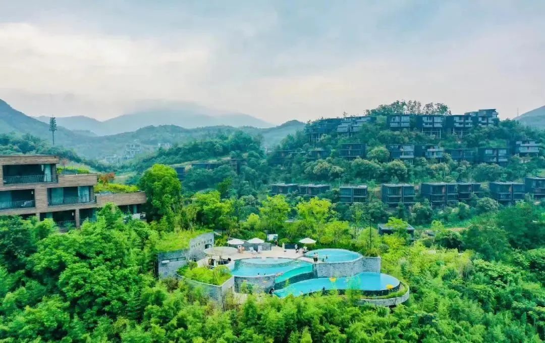 远方的家 | 总要赴一场莫干山之约吧