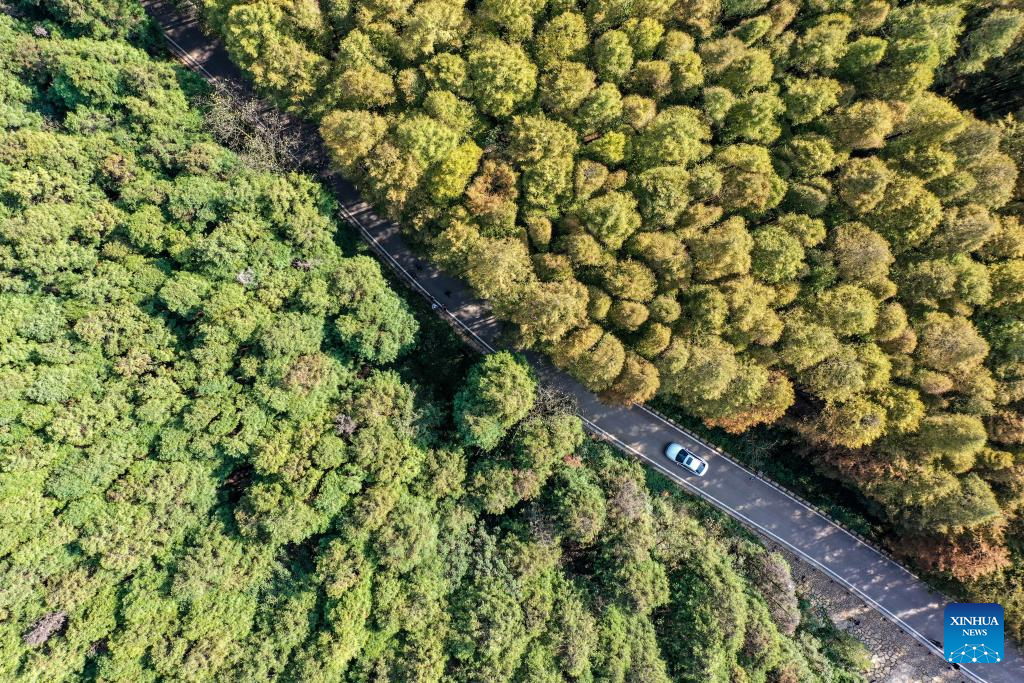 Chongqing launches 178-kilometer rural tourism route to promote tourism