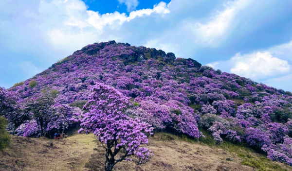 2024华侨城旅游狂欢节启幕！“旅游+”探索文旅新消费