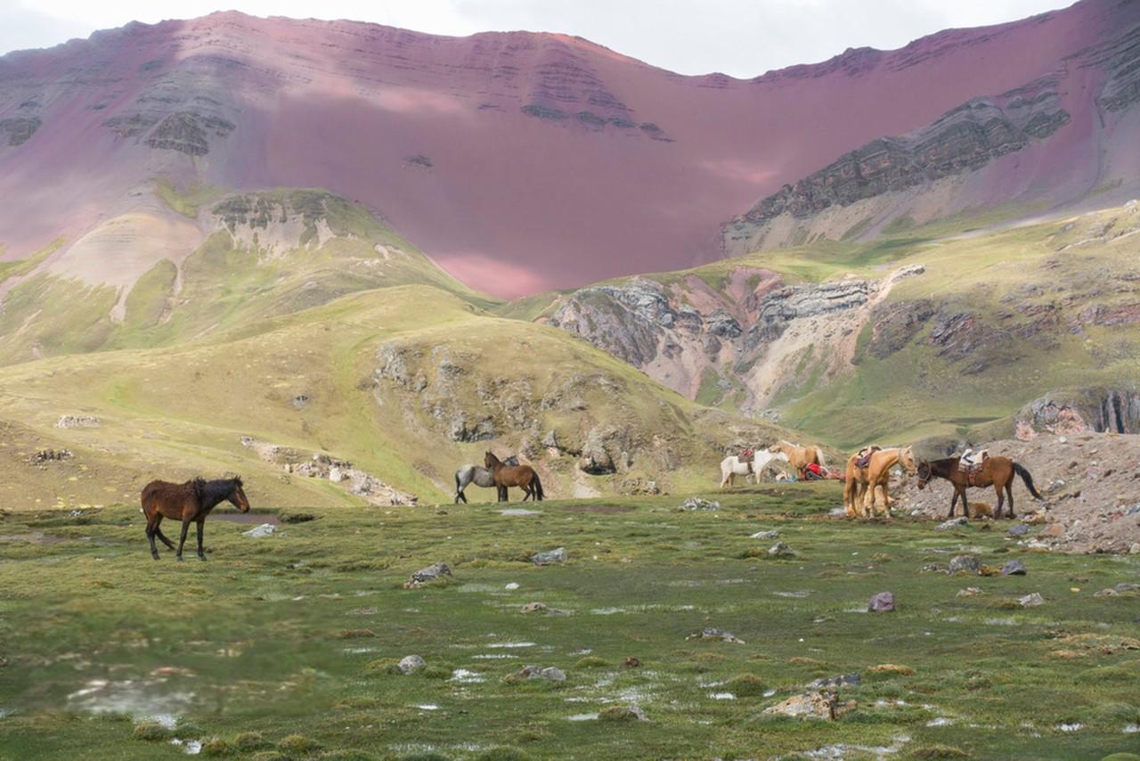 秘鲁旅游局在华推介 多维度展现旅游资源魅力