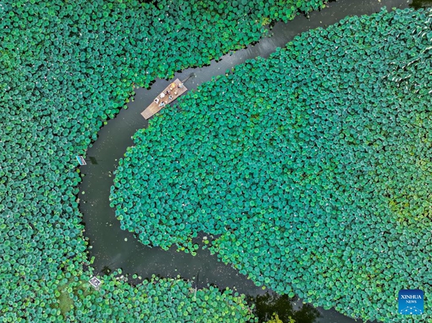 View of Chengkan Village in China