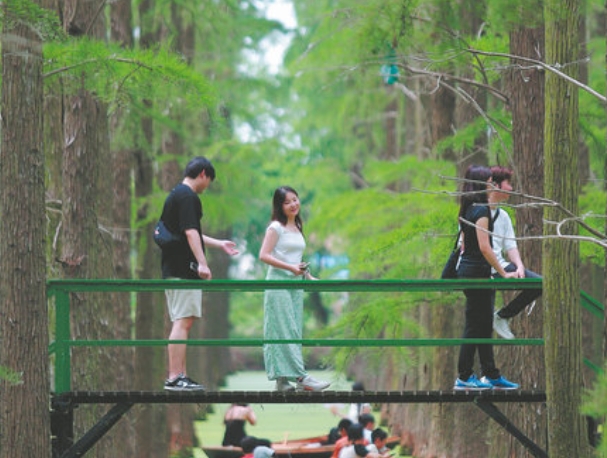 Scorching heat sees people opt for cooler destinations