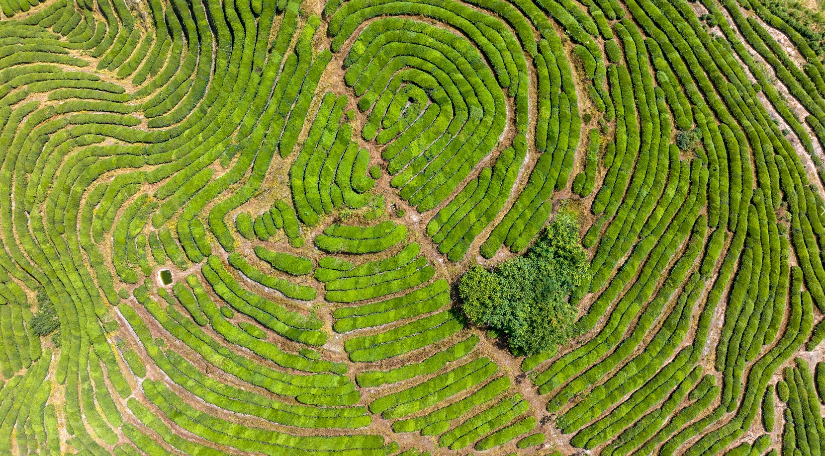 2025年百名台湾旅行商走进武夷山活动成功举办