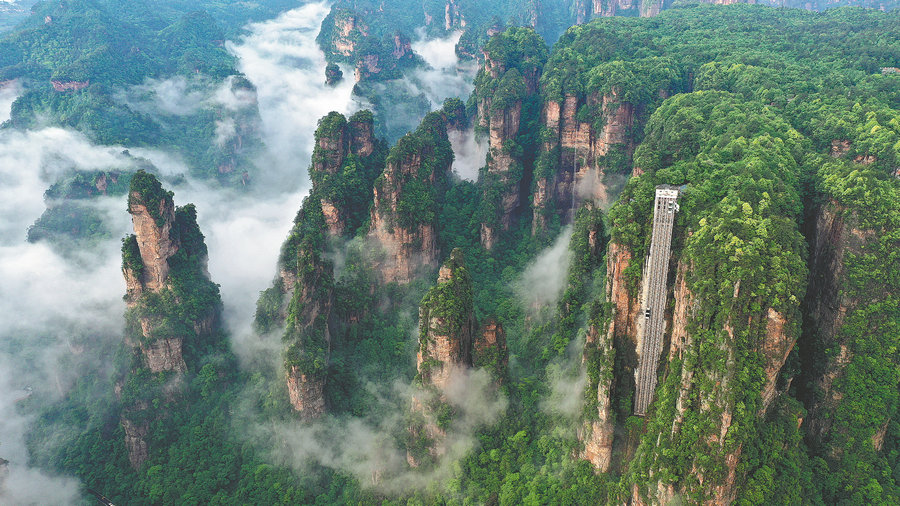 Ranger lets nature work