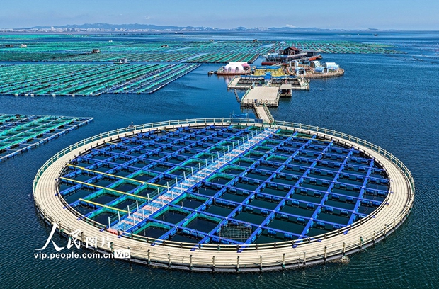 Tourists rush to marine ranch in E China
