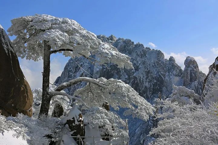 【玩转山地】冬韵黄山，人间仙境