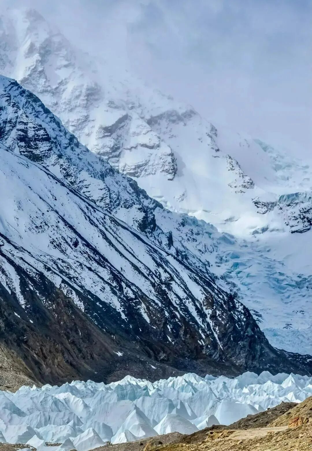 西藏罗布林卡举办系列文旅融合活动