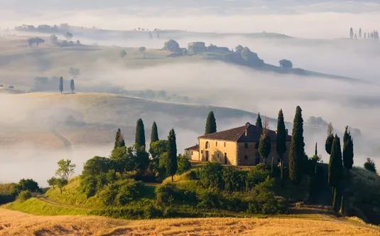 何亚非：高质量发展“一带一路”是构建人类命运共同体的重要路径