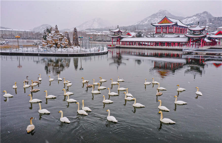 Using every part of a place to develop tourism