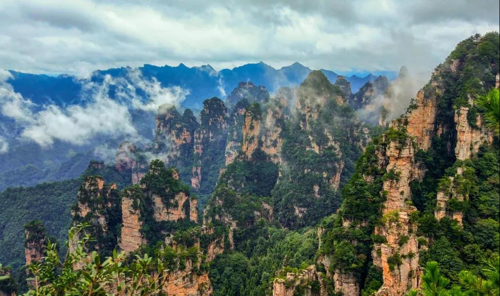 郝霄虹：地球的呼唤和旅游界的共同行动