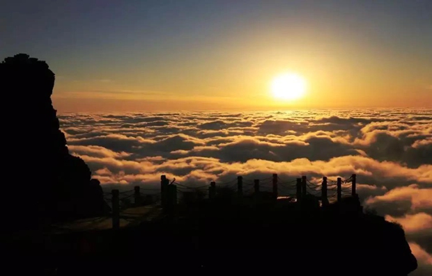 Vaccines and digital solutions to ease travel restrictions