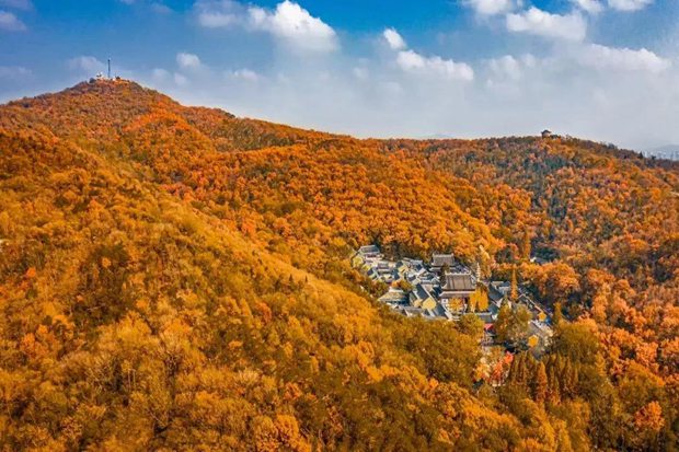 携程：五成公司人均团建预算超600元，“团建季”周边需求增长124%