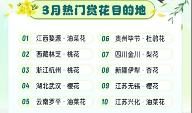 同程旅行：赏花游热度大涨，林芝、毕节酒店预订量上涨超八成