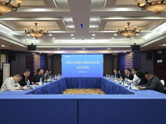 祥源控股集团到湖南旅游集团洽谈合作