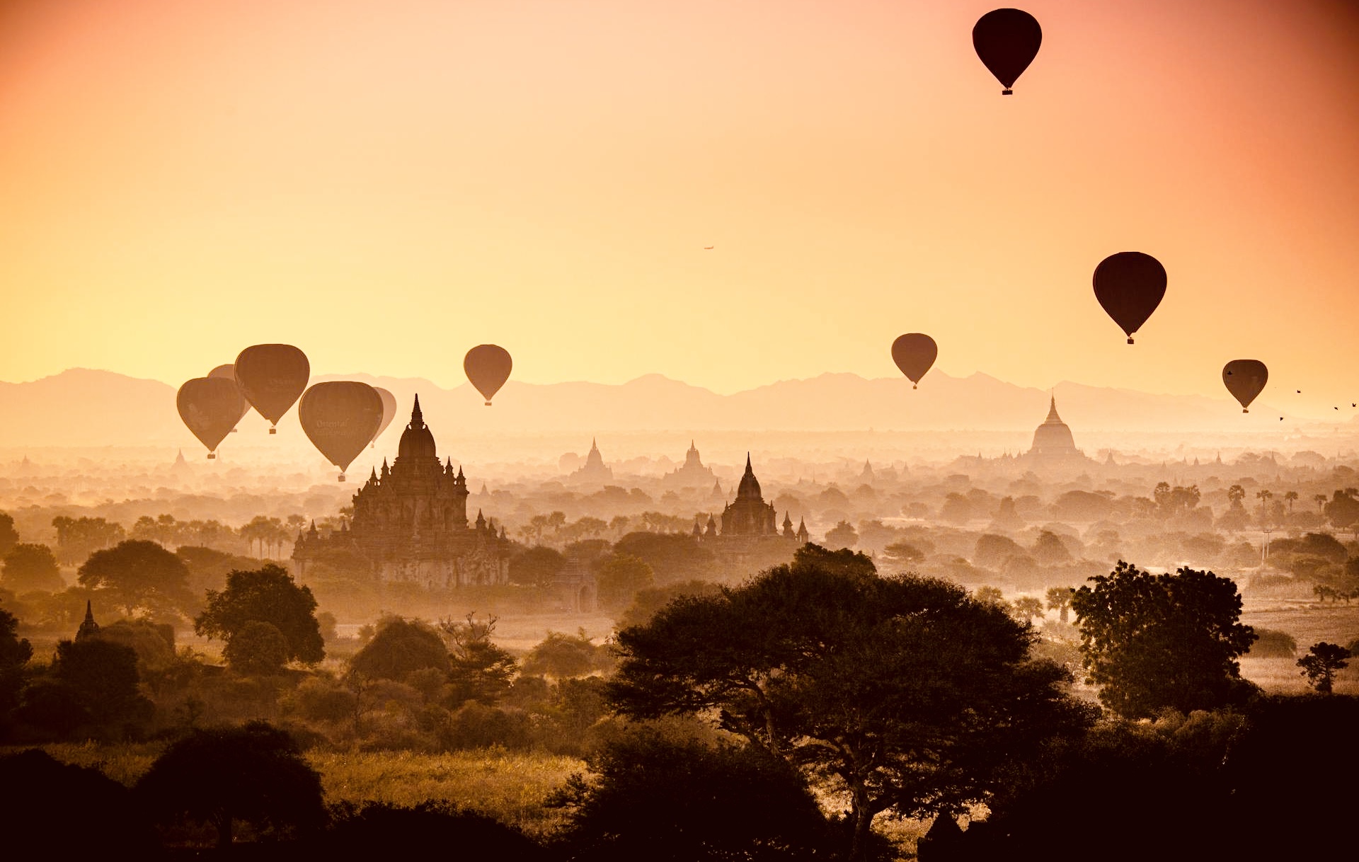 郝霄虹：在地震的撕裂中迎接未来的曙光