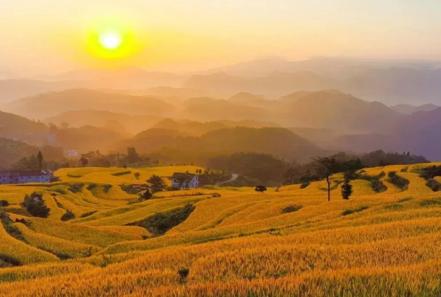 山地二十四气候 | 白露候鸟归