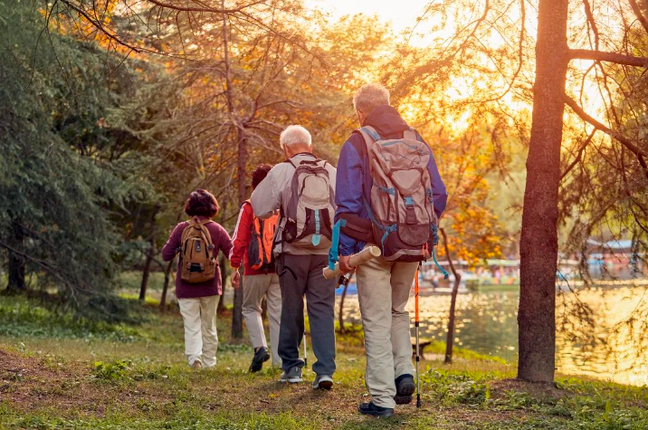 老年文化旅游洞察：维度与前瞻