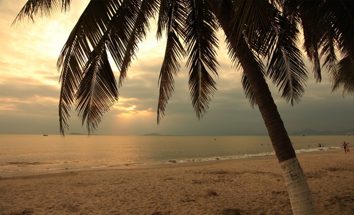 会员周报：Club Med地中海俱乐部开启精彩冰雪季；中国旅游研究院征集2022旅游业创新案例...