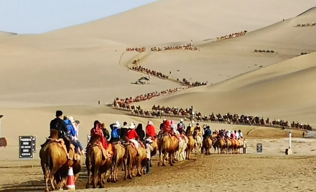 会员周报：首届古建筑摄影考察群英会暨“三苏”摄影作品展启动仪式在韩城市举行；荷兰、丹麦侨领到访广州市侨联...