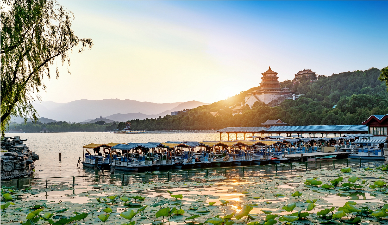 中老铁路开通运营四年累计发送旅客超6250万人次