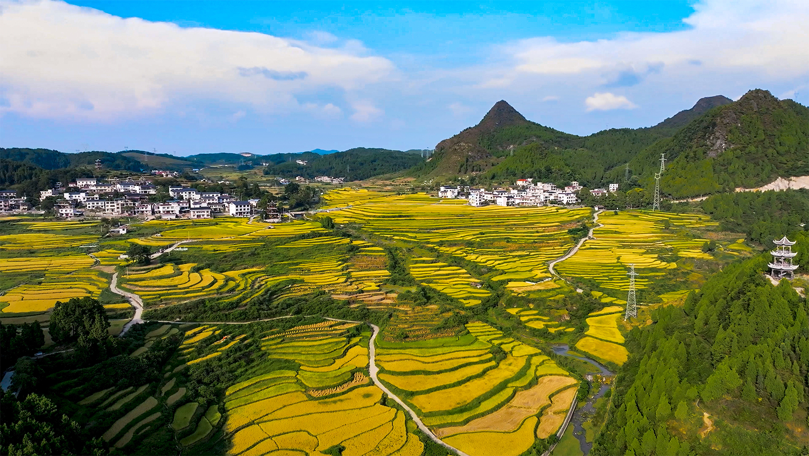 Celebrating a bumper rice harvest at a village in Guizhou
