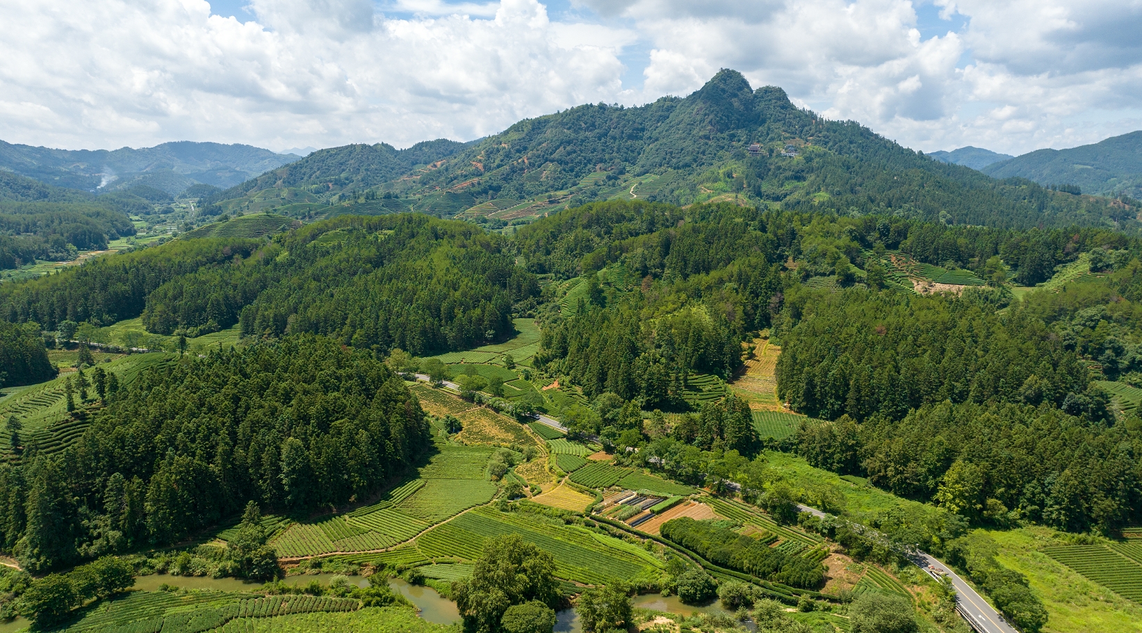 从茶山到云端：福建三明“土特产”闯出“大市场”